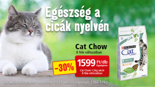 Egészséges cica, boldog cica