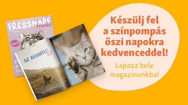 Megjelent az őszi Fressnapf Friends magazin!