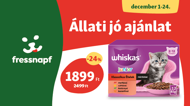 Készülj együtt cicáddal az ünnepekre!