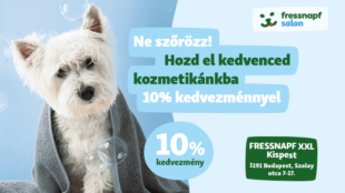 Tavaszi felfrissülés kedvencednek – Most 10% kedvezménnyel*!